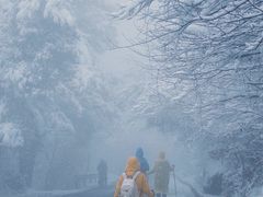 -浙西天池景区