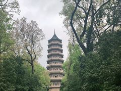 -灵谷景区
