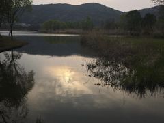 -长广溪湿地公园