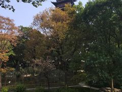 -常熟方塔园
