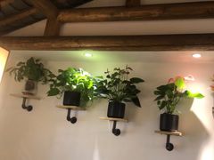 -紫腾大院·南京菜(江宁店)