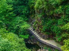 -大奇山国家森林公园