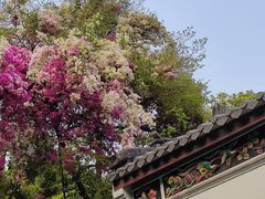 -深圳国际园林花卉博览园