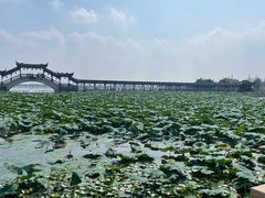 -观桥阁(锦溪店)