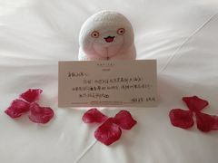 -北京索菲特大酒店