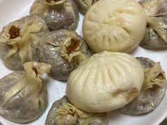 -丁老爷子苏香圆