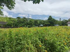 -乌石塘景区