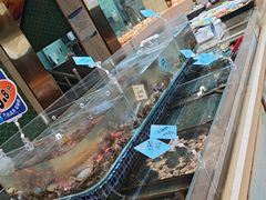 -天盛海鲜烧烤大排档·本地小海鲜·牟平腿穗子(幸福店)