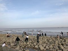 -南汇嘴观海公园