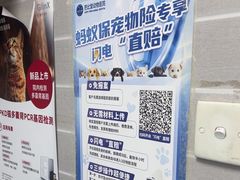-芭比堂动物医院·心脏科·老年急重症·夜诊·吉雅分院