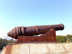 -上海吴淞炮台湾国家湿地公园