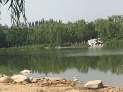 -大兴滨河森林公园