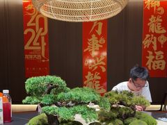 -阿露佳·舌尖上的安吉菜