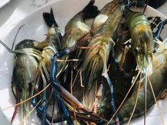 -澜悦港海鲜体验主题餐厅