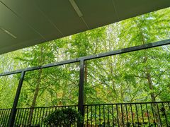 -大小咖啡 BigSmallCoffee(麦子店)