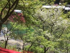 -岚山嵯峨野观光小火车