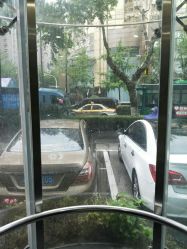 -瑞丽口腔·美学矫正中心
