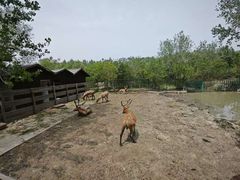 -溱湖国家湿地公园