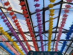 -南宫五洲植物乐园