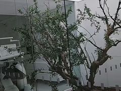 -极简口腔(总院)