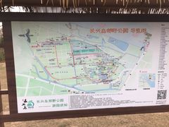 -上海长兴岛郊野公园