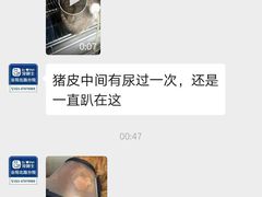 -宠颐生斯嘉宠物医院·急重症·心内科(谷阳北路分院)