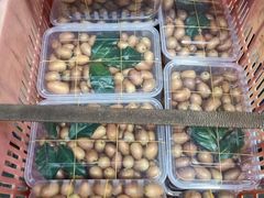 -从化深英荔枝黄皮龙眼采摘园