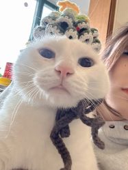 -齐伽生活馆·瑜伽·普拉提·阿育吠陀