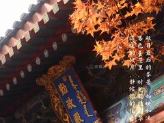 -香山公园