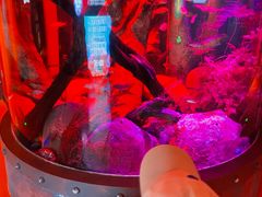 -沈阳海洋探索中心