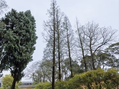 -太平天国侍王府