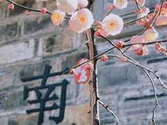 -老门东历史文化街区