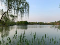 -羊山湖公园
