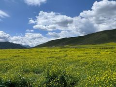 -扁都口生态休闲旅游区