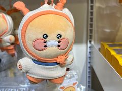 -KAKAO FRIENDS(弘大店)