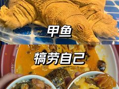 -洞庭家宴·头牌甲鱼(广渠门店)