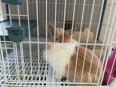 -小意思咖啡店(草桥店)