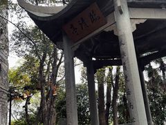 -江心屿景区