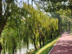 -东郊湿地公园
