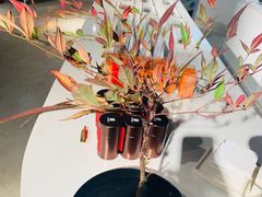 -张一元茶庄(望京店)