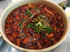 -陈麻婆豆腐总店