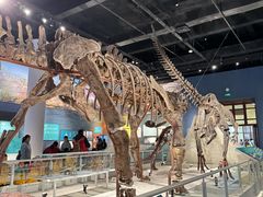 -国家自然博物馆