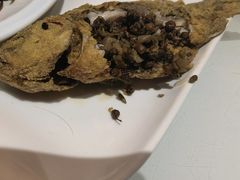 爆煎鲫鱼-三义和酒楼(千佛山店)