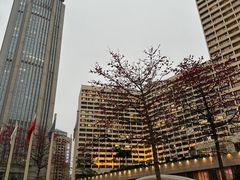 -广州花园酒店