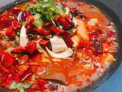 诚意毛血旺-心邸·庆宴(雅宝城店)