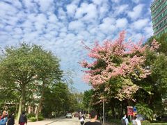 -广东金融学院(校本部)