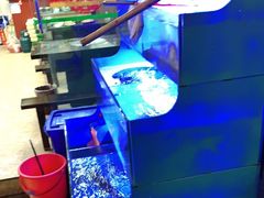 -韩妹鱼庄·泸定老字号(泸定店)