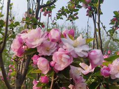 -元大都城垣遗址公园