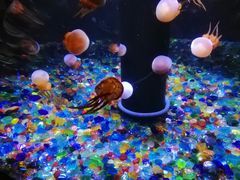 -成都浩海立方海洋公园