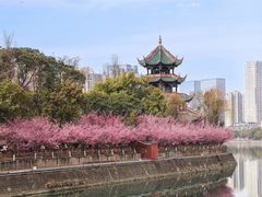 -望江楼公园